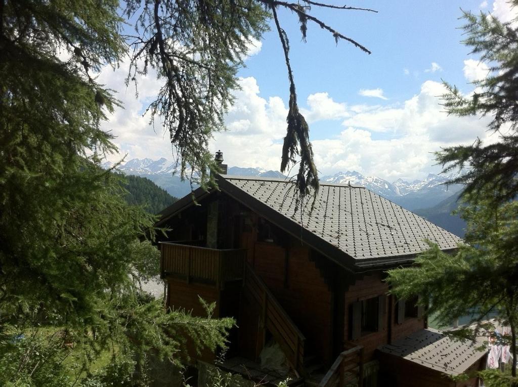 Chalet Tannenduft *
