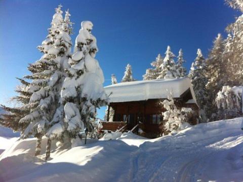Tannenduft Chalet